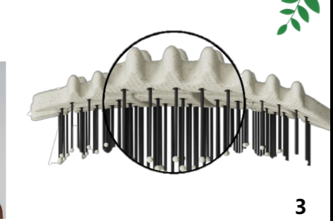 Zerra Bloom 5-in-1 Curly Hair Brush with Boar Bristles